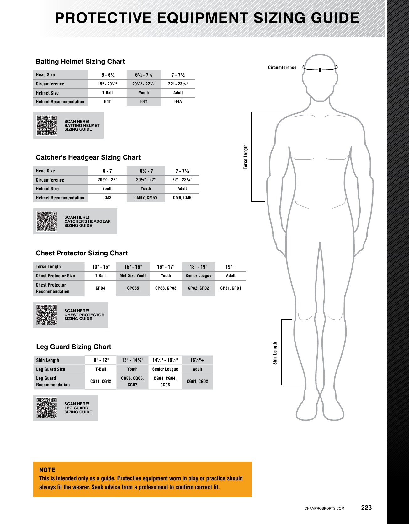 Youth & Adult Baseball Pants Size Chart Champro Download Printable